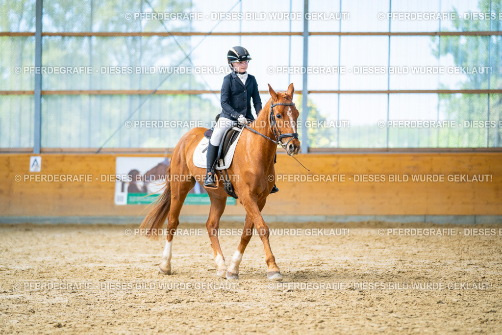 DSC08310 | Pferdegrafie