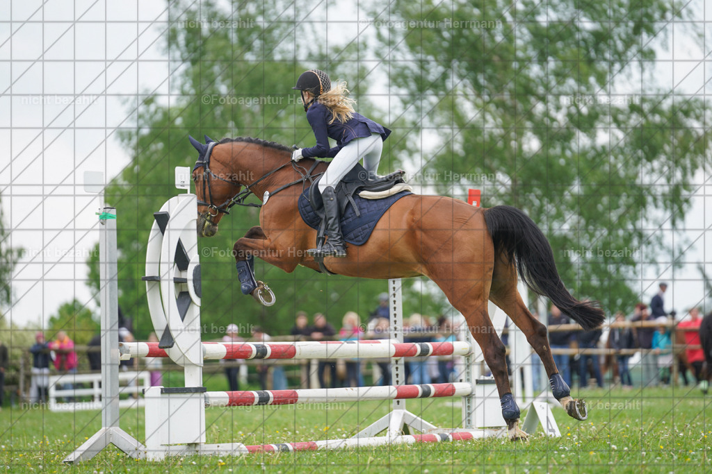 20240509-FAH02580 | Turnierbilder der Turnierfotografen Bayern, Pferdesport Fotografie, Reitsportbilder, Turnier Landberg am Lech, Turnierbilder bayern, Fotoagentur Herrmann