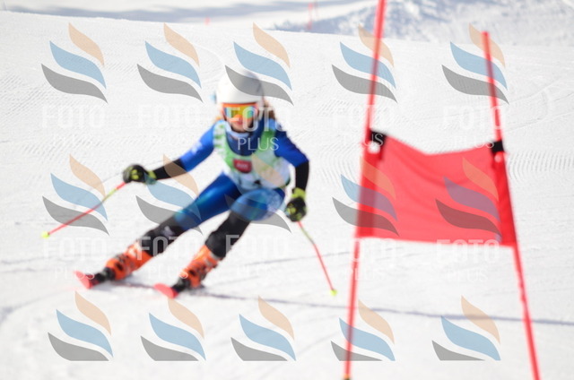 I7278 | holidayphoto