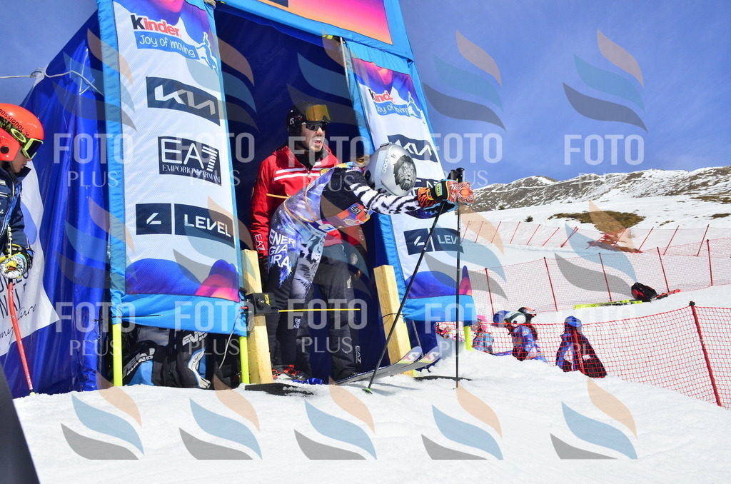 _ELE0811 | holidayphoto