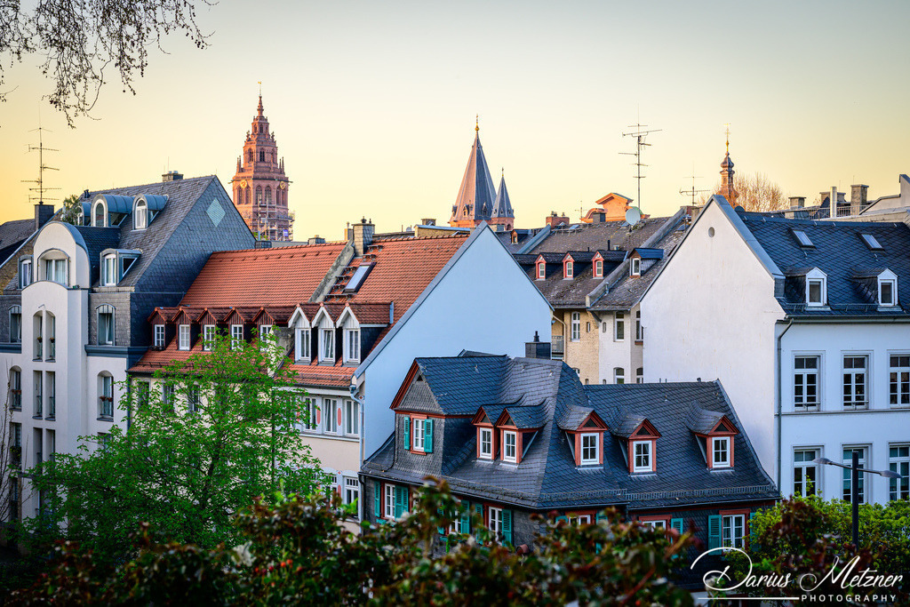 Der Mainzer Dom St Martin | Der hohe Dom St Martin zu Mainz