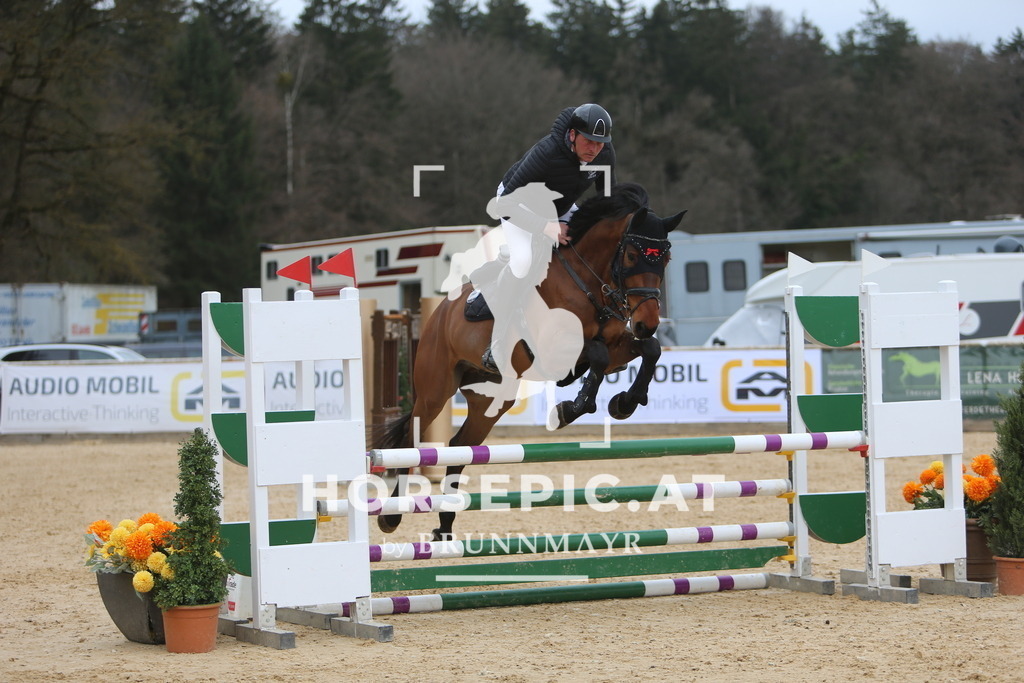 DL2Q6056 | Willkommen bei Brunnmayr - Design & Fotografie – Ihrem Spezialisten für Reitturniere und Pferdeveranstaltungen in Oberösterreich, Salzburg und Bayern! Seit über 17 Jahren sind wir leidenschaftlich dabei.