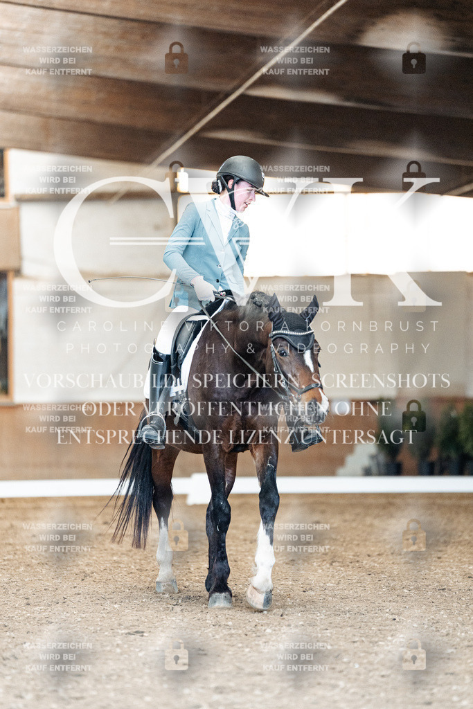 CK901003 | Turnierfotografie Pferdefotografie Trier Rheinland-Pfalz Pferdesport Reitsport Tierfotografie Sportfotografie Pferdevideo Pferdevideografie Equestrianvideography equestrianphotography  - Realisiert mit Pictrs.com