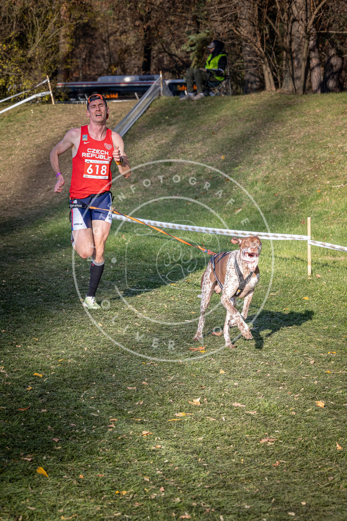 CaniXpix_0L8A8749 | Hundefotografie, Tierfotograf, Pfotenfotografie, Fotoshooting Hund, Hunde Portrait, Hundesport, Hundeportraits, Heideshooting, Hunde, Sportfotograf, Hundefotograf, Turnierhundsport, THS,  - Realisiert mit Pictrs.com