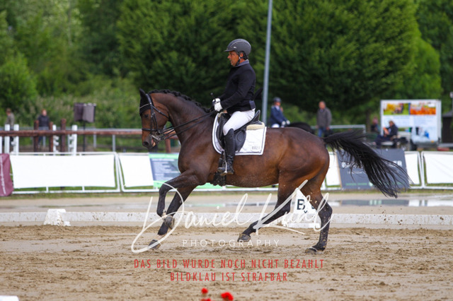 DKP40786 | Turniersportfotografie; Pferdefotografie; Dressurfotografie