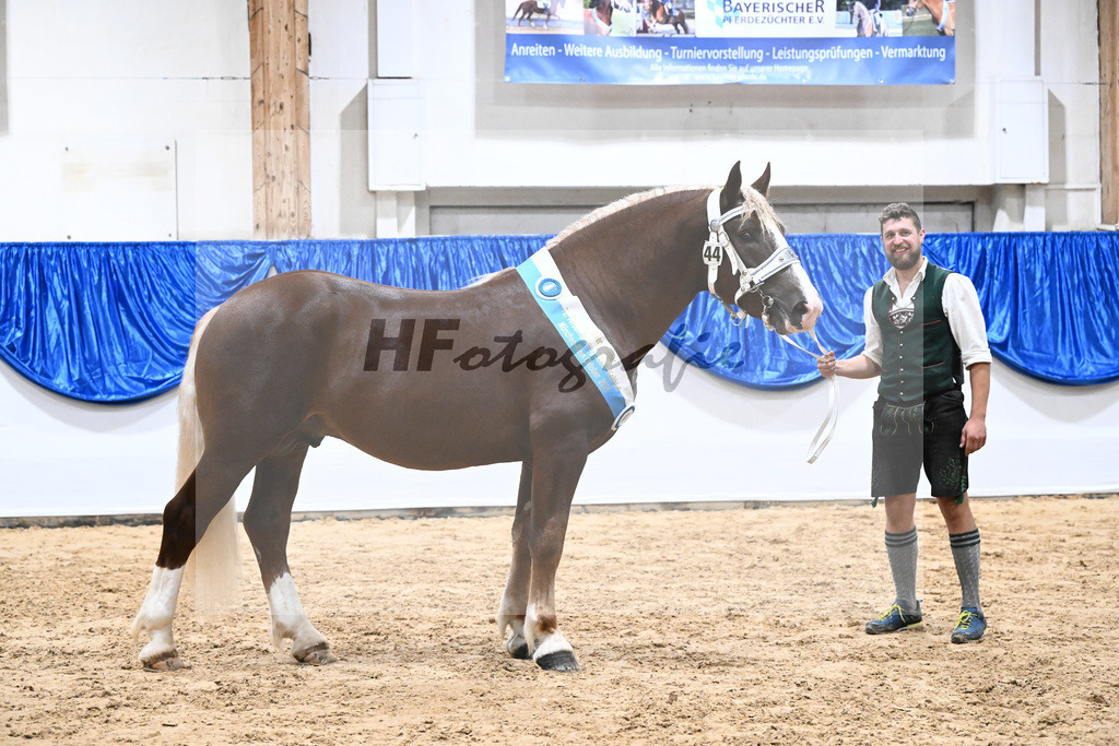 Kat-Nr. 44 nn v. Veroneser_Kotz_39251533 | hf-fotografie - Realizzato con Pictrs.com