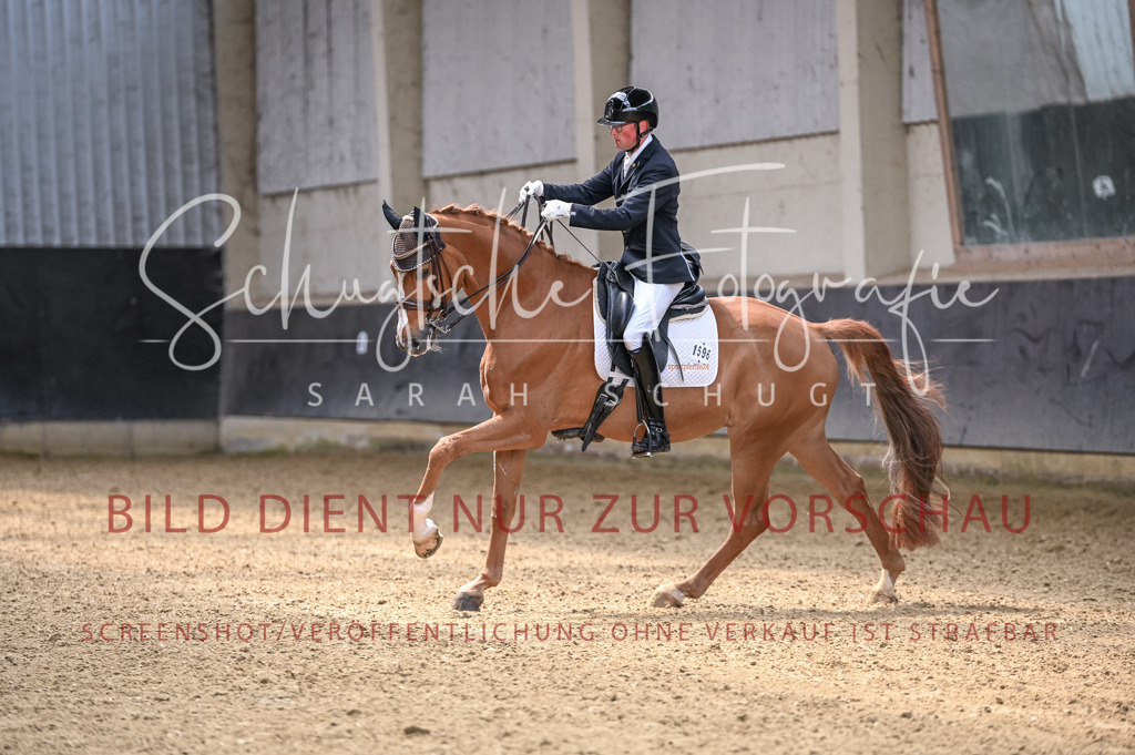 Schugtsche-Aluta25-57.Dressurprf.M1Kand-21 | Schugtsche Fotografie - Realisiert mit Pictrs.com