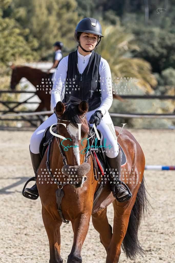 IMG_0474 | s-jay-photography - Realisiert mit Pictrs.com