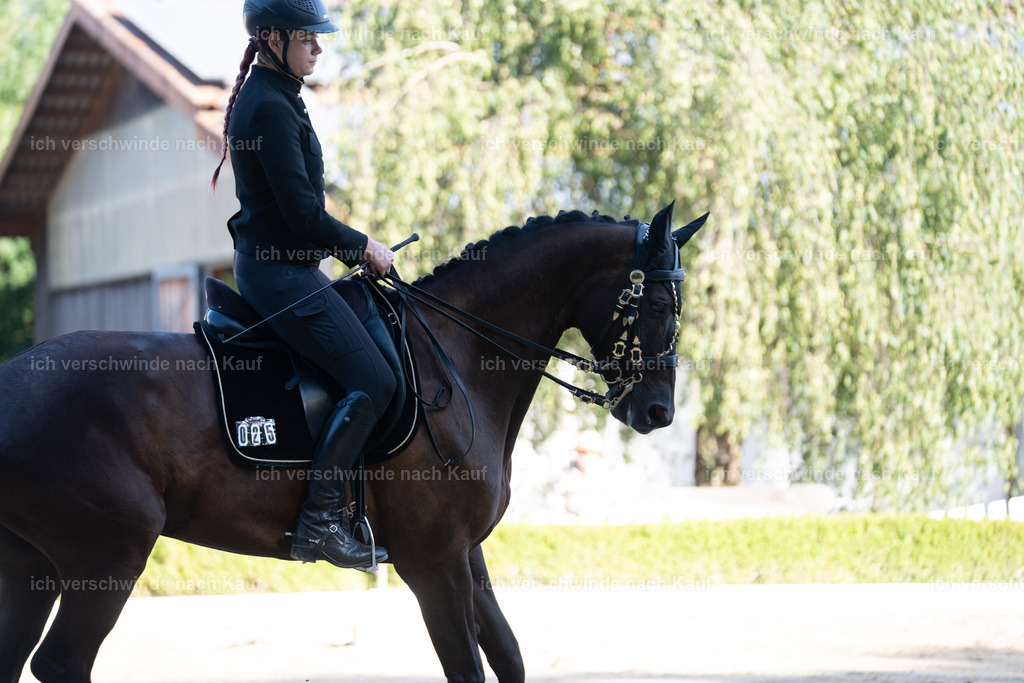 WL_DR_25_sinafilmart_IN05859 | working equitationturnier fotograf videograf stoibphotography marixx film working equitation deutschland reitsport turnierfotografie eventfotografie equestrian events