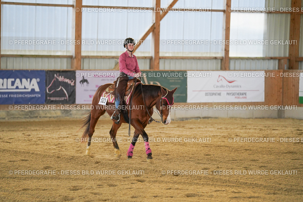 DSC08872 | Pferdegrafie