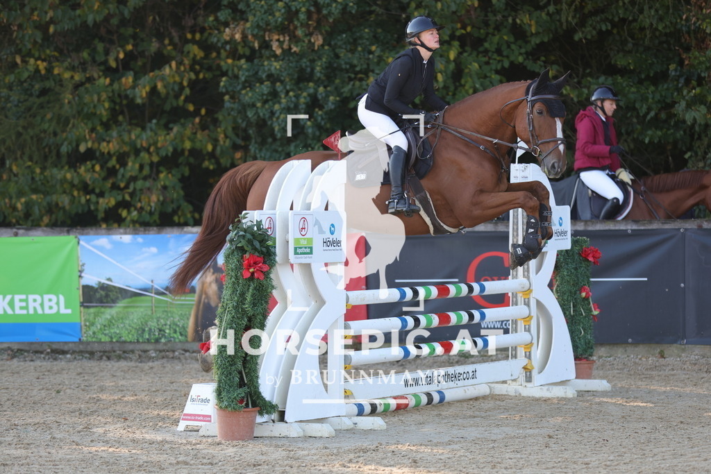 0P6A9050 | Willkommen bei Brunnmayr - Design & Fotografie – Ihrem Spezialisten für Reitturniere und Pferdeveranstaltungen in Oberösterreich, Salzburg und Bayern! Seit über 17 Jahren sind wir leidenschaftlich dabei.