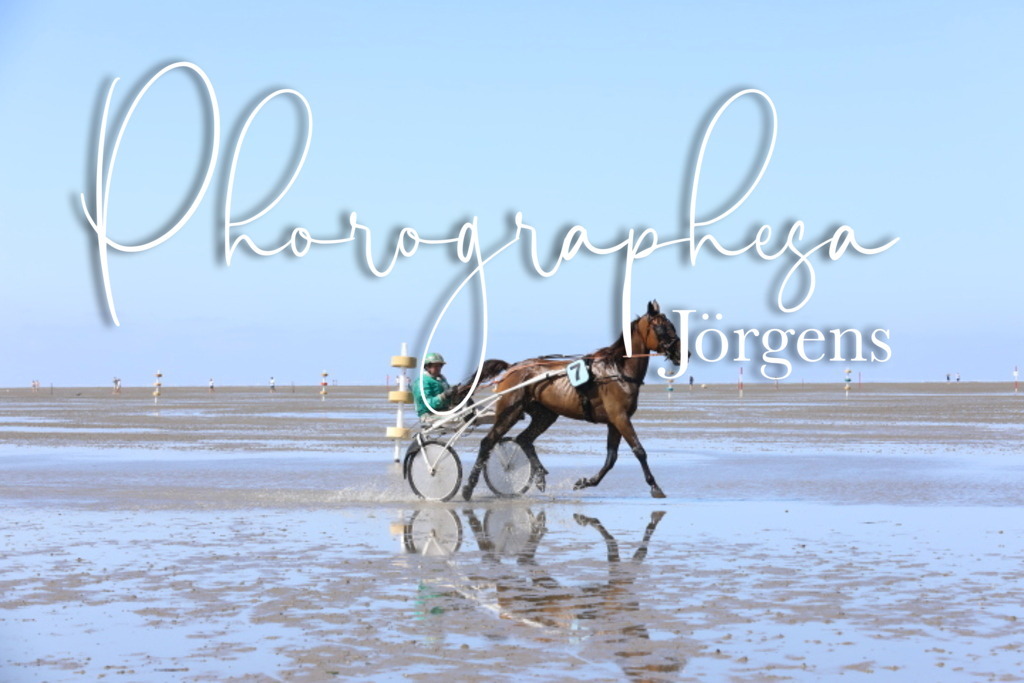 IMG_9176 | photographesa-joergens - Realisiert mit Pictrs.com