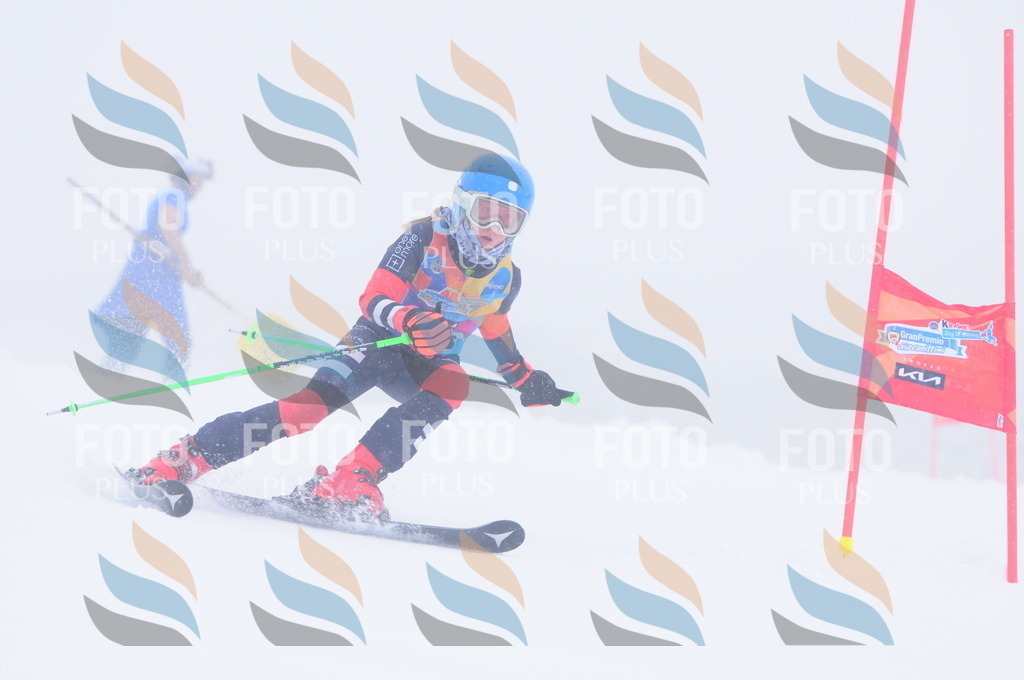 C1885 | holidayphoto