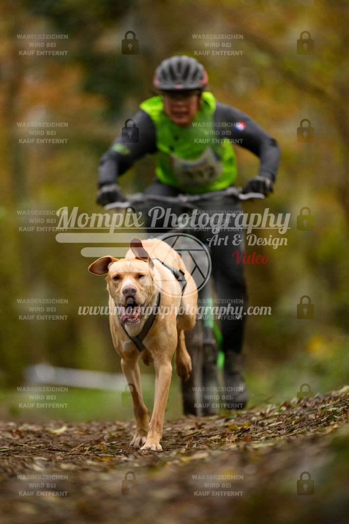 MompixPhotography_Bischwiller24_SA_VTT-26 | PayLife