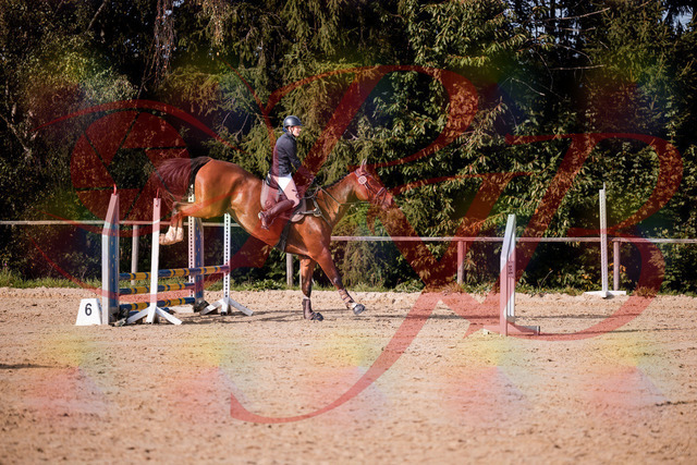 2026_10_03_Siefer-Hof_155630_Z81_76141680 | Professionelle Reitsport-, Turnier- und Eventfotografie von Robert Broda. Galerien mit ausgewählten und bearbeiteten Bildern direkt online ansehen und bestellen.