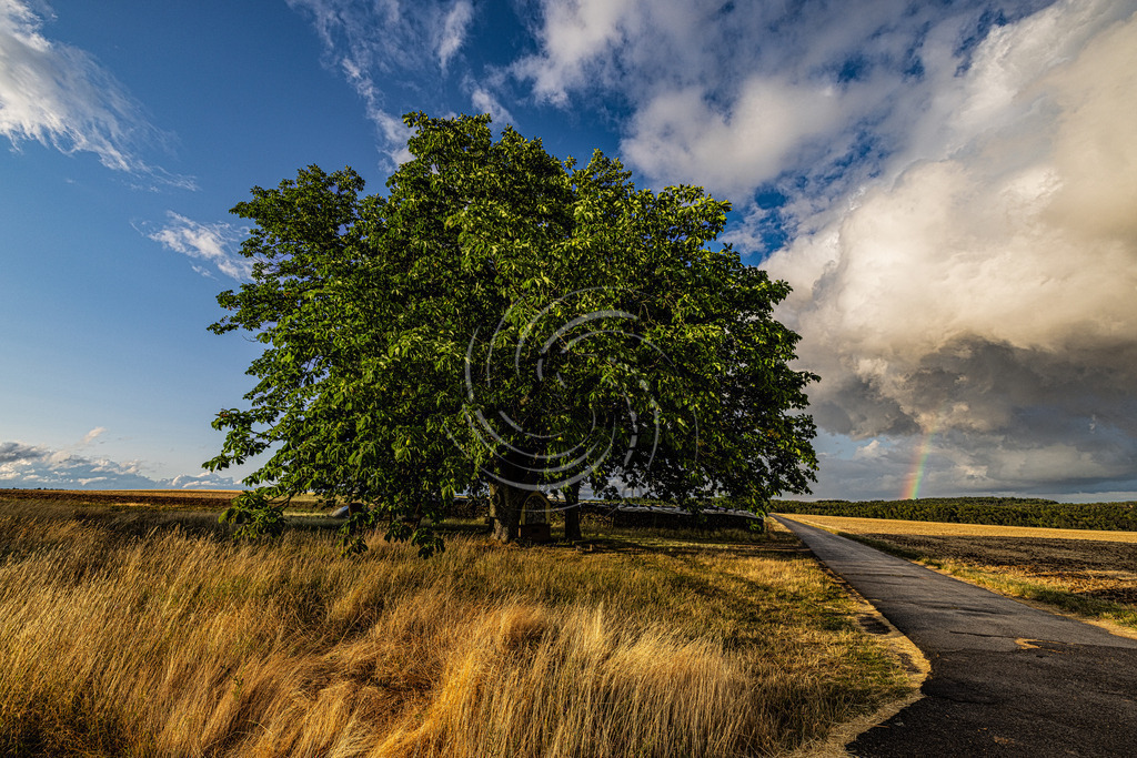 2023_07_24_9999_8 | Frank Herberich Fotografie, Frank Herberich, Fotografie, Hochzeit, Portrait, St. Peter Ording, Ording, Westerhever, Nordsee, Frank Fotografie, Hardheim,  Odenwald,Walldürn, Band,Eventfotografie - Realisiert mit Pictrs.com