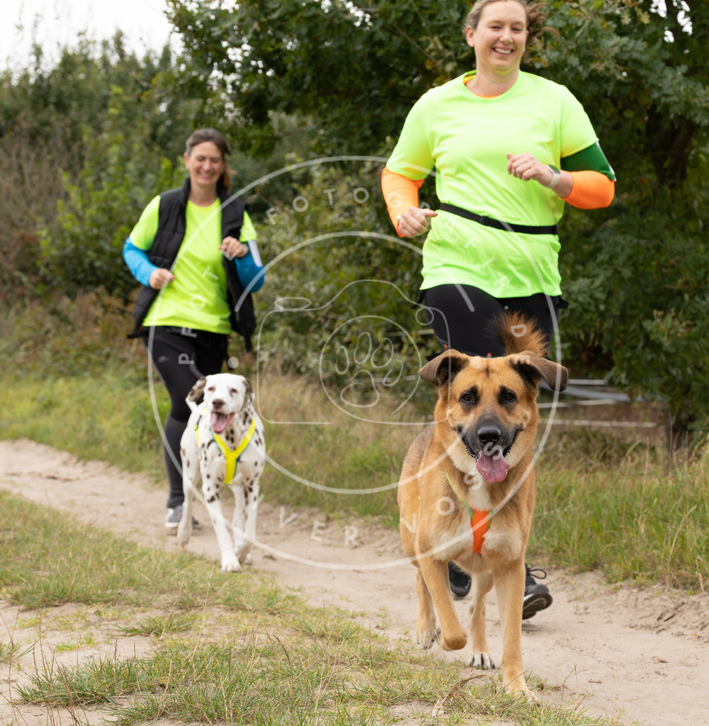 Pfotenfotografie_DV3A6019 | Hundefotografie, Tierfotograf, Pfotenfotografie, Fotoshooting Hund, Hunde Portrait, Hundesport, Hundeportraits, Heideshooting, Hunde, Sportfotograf, Hundefotograf, Turnierhundsport, THS,  - Realisiert mit Pictrs.com