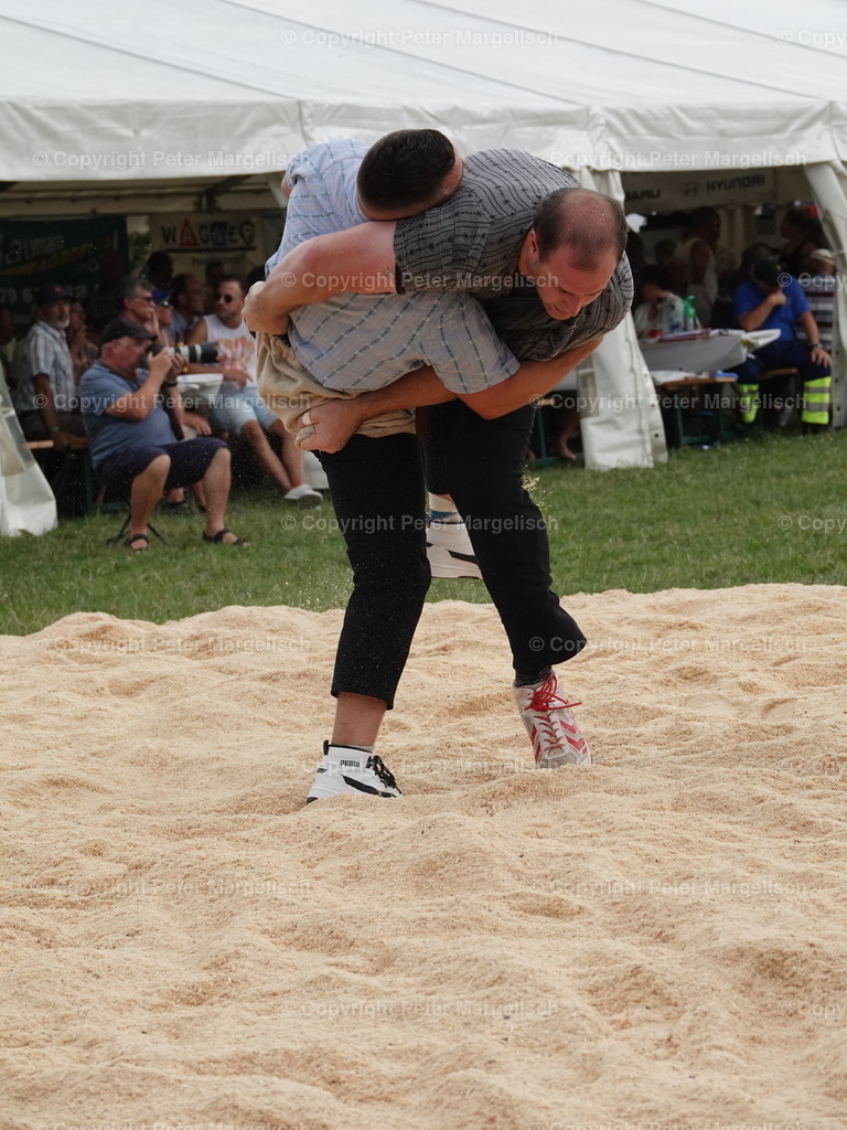 DSC05135 | Schwingen - Realisiert mit Pictrs.com