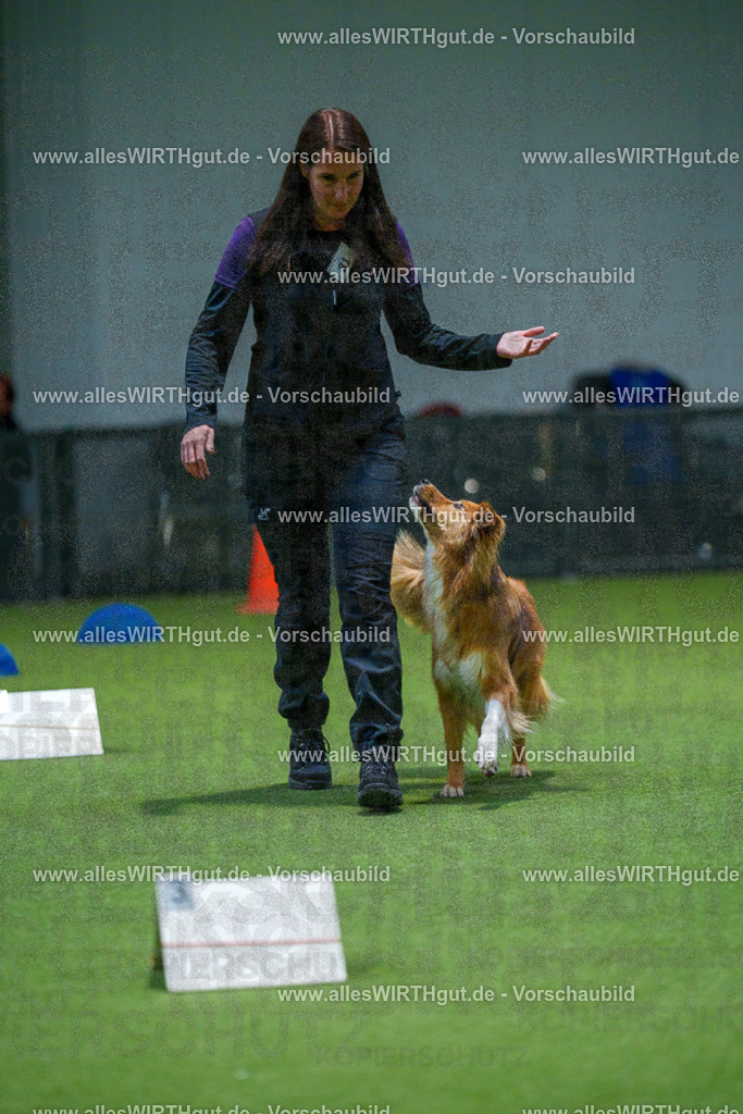 7R507725 | Professionelle Tierfotografie in Mönchengladbach von Daniel Wirth (allesWIRTHgut). Liebevolle & natürliche Bilder von Hunden & Katzen für unvergessliche Erinnerungen.