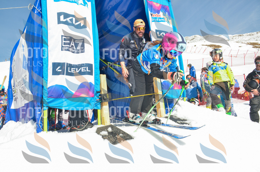 _ELE5605 | holidayphoto