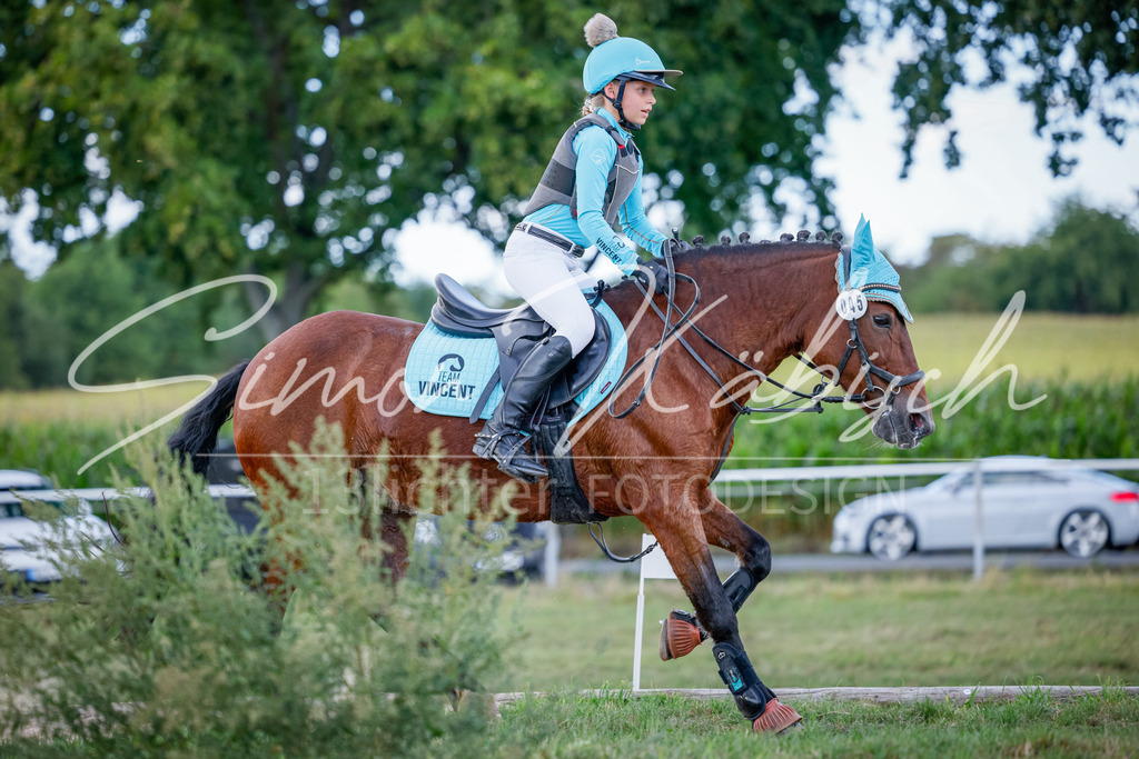 20250905-_3LI2059 | Tierfotografie Pferde, Hunde, Katzen, Haustiere.
Turnierfotografie Reitturniere, Reiten, Springreiten, Dressur in Hanau, dem Main-Kinzig-Kreis und dem Rhein-Main- Gebiet um Frankfurt