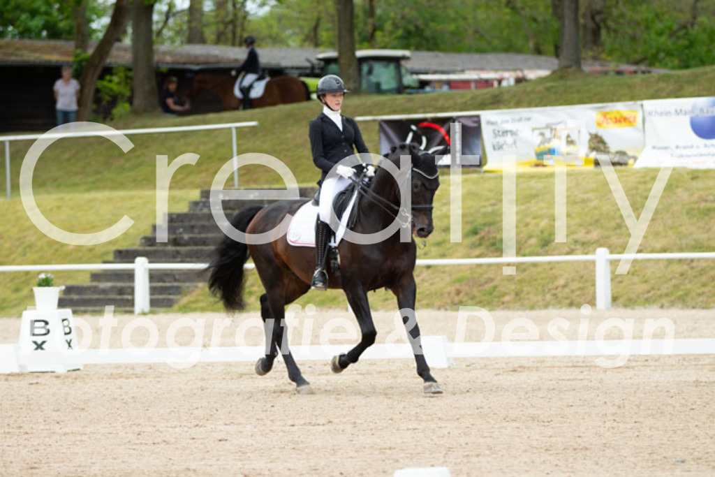 IMG_3031 | Creatify Fotografie