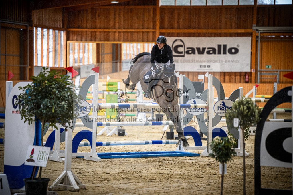 DOS_0832 | Entdecke hochwertige Reitturnierfotos von Foto Oger. Professionell, emotional und authentisch – jetzt Lieblingsmomente im Shop bestellen.Deutschlandweite Turnierfotografie. - Realisiert mit Pictrs.com