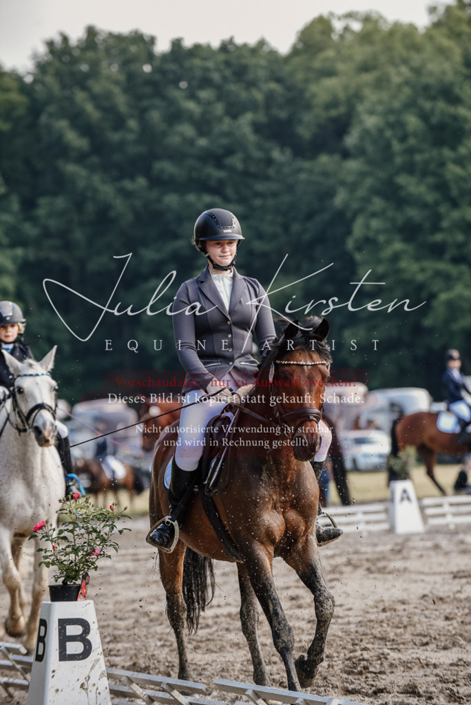 DSC_8382 | Pferde- und Turnierfotografie in Westsachsen. Pferdeportraits, Auftragszeichnungen und intuitive Kunst.
