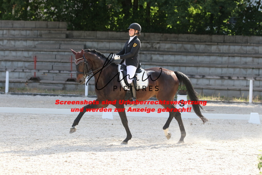 IMG_5816 | lmwpictures - Realisiert mit Pictrs.com