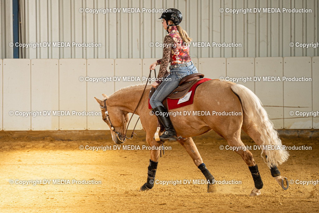 MIT00260 | dv-media-shop - Realisiert mit Pictrs.com