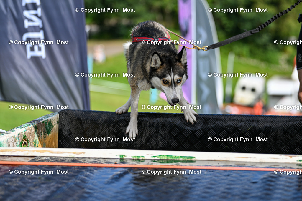 DSC_7310 | Hallo und herzlich Willkommen auf meiner Shop-Seite Fynn Most.

Ich wünsche Dir viel Spaß beim stöbern durch die Bilder, wenn Du Fragen hast oder Bilder vermisst, kannst du mir gerne eine Nachricht schreiben. - Realisiert mit Pictrs.com