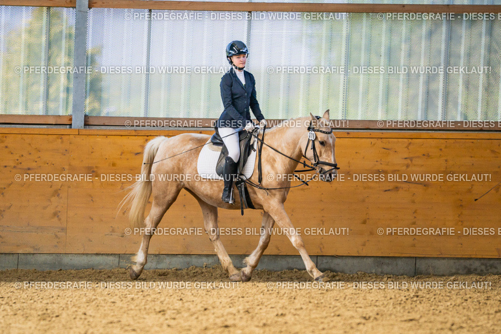 DSC03561 | Pferdegrafie