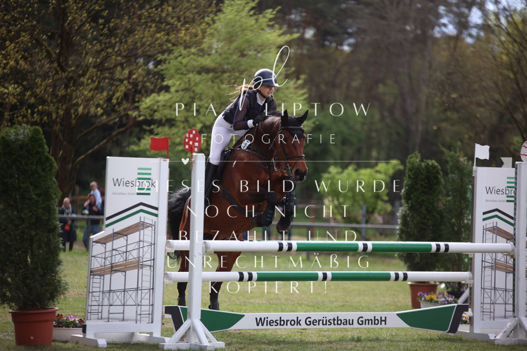 IMGT2045 | pl-fotografie