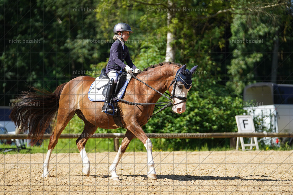 20240706-FAH04919 | Grafing Turnierfotos, Reitverein Ebersberg, Turnierfotografen Bayern, reitsportbilder, Pferdefotograf, reitsportfotograf, Sportbilder, Reitsportfotografie, Fotoagentur Herrmann, Turnierfotograf