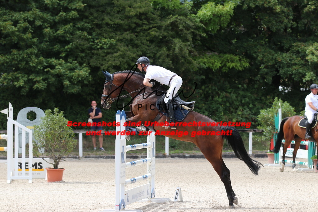 IMG_2066 | lmwpictures - Realisiert mit Pictrs.com