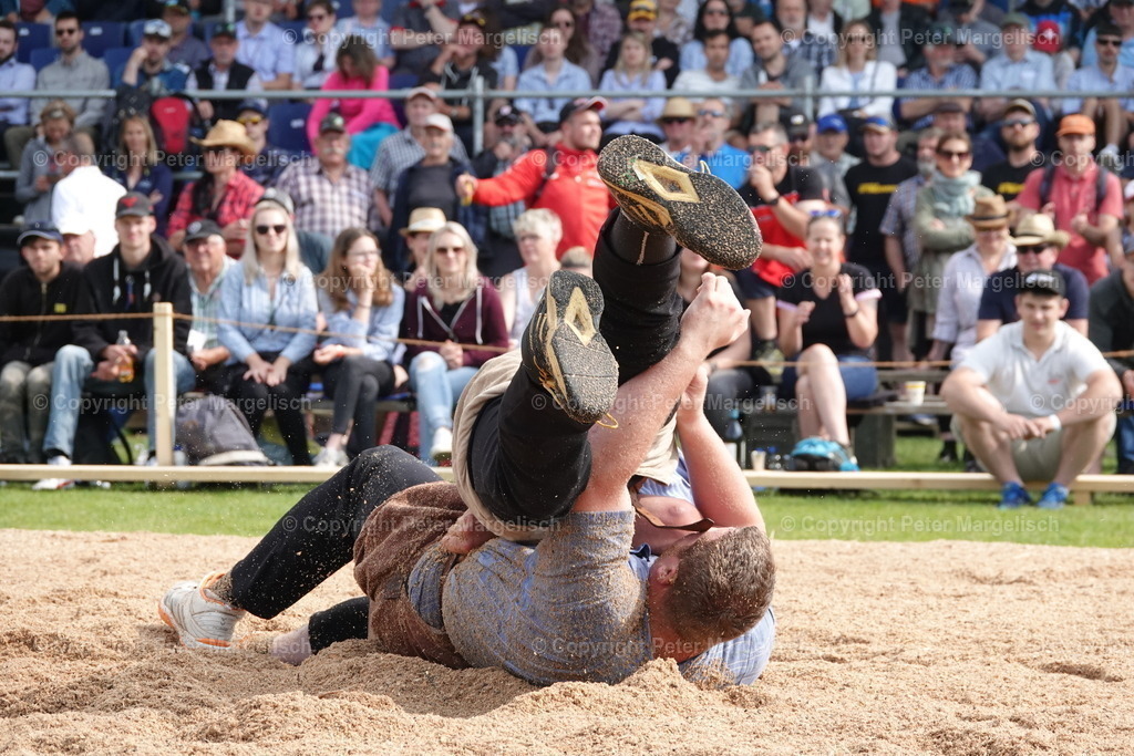 DSC04509 | Schwingen - Realisiert mit Pictrs.com