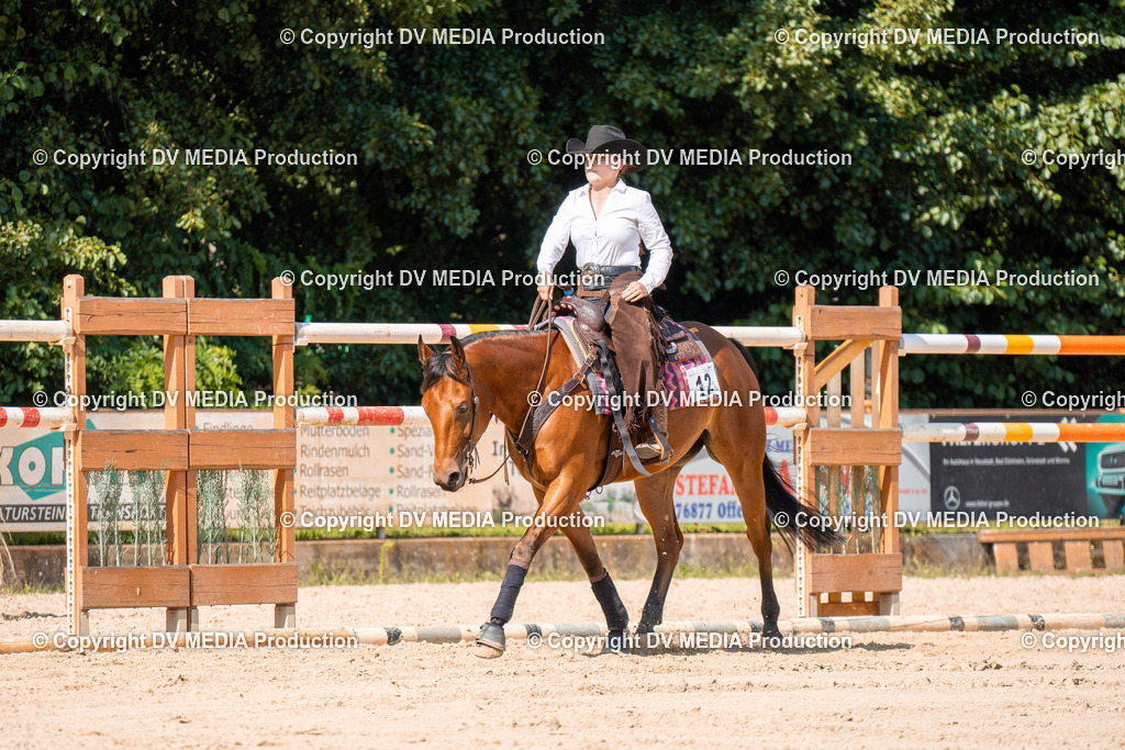 ZH100233 | dv-media-shop - Realisiert mit Pictrs.com