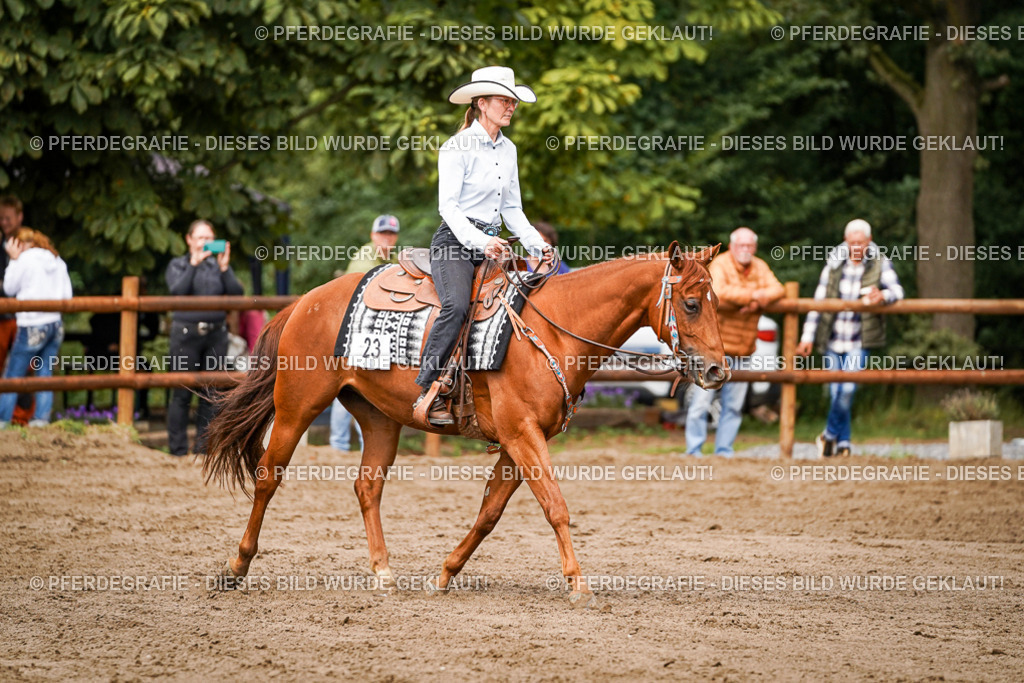 DSC06631 | Pferdegrafie