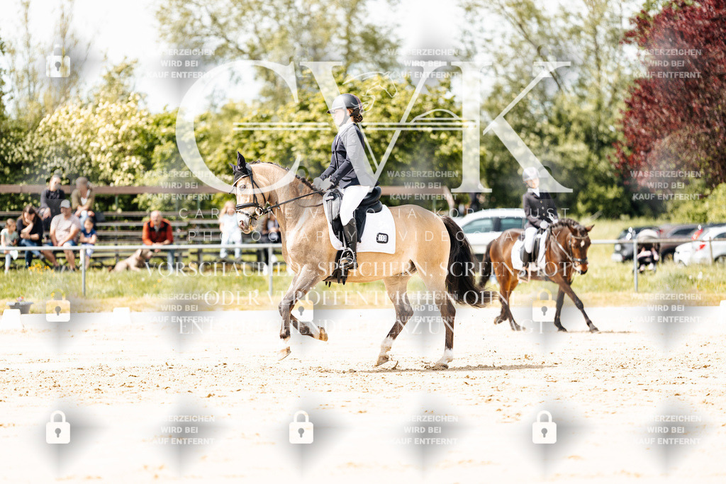 CK901866 | Turnierfotografie Pferdefotografie Trier Rheinland-Pfalz Pferdesport Reitsport Tierfotografie Sportfotografie Pferdevideo Pferdevideografie Equestrianvideography equestrianphotography  - Realisiert mit Pictrs.com