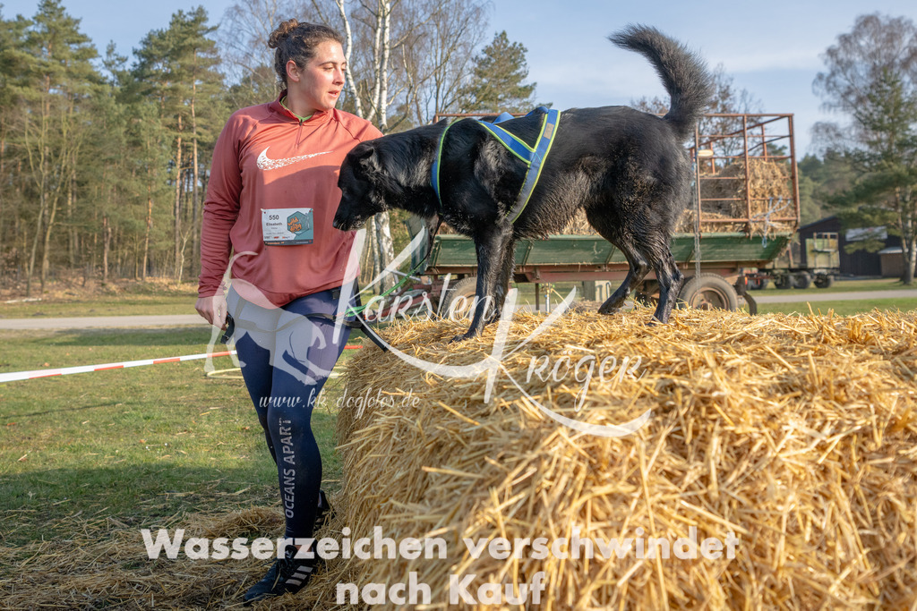 _ZZ91258 | kk-dogfotos