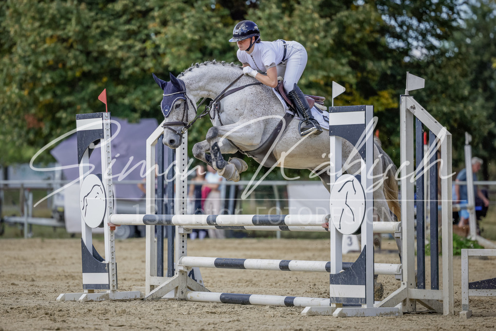 20250906-_3LI6298 | Tierfotografie Pferde, Hunde, Katzen, Haustiere.
Turnierfotografie Reitturniere, Reiten, Springreiten, Dressur in Hanau, dem Main-Kinzig-Kreis und dem Rhein-Main- Gebiet um Frankfurt