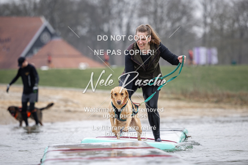 nelerasche_Hulsbeek_Sa1130-1230_427 | nelerasche