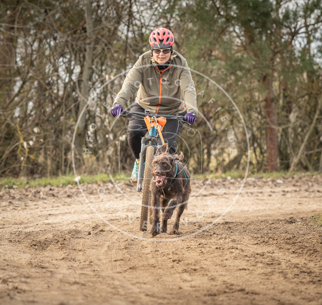 Pfotenfotografie_DV3A8979 | Hundefotografie, Tierfotograf, Pfotenfotografie, Fotoshooting Hund, Hunde Portrait, Hundesport, Hundeportraits, Heideshooting, Hunde, Sportfotograf, Hundefotograf, Turnierhundsport, THS,  - Realisiert mit Pictrs.com
