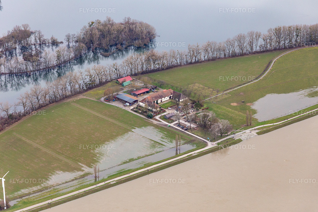 Luftbild: Gehöft und Bauernhof- Nebengebäude Hofgut Maxau Landgasthaus / Hofladen bei Rhein-Hochwasser in Maxau im Ortsteil Knielingen in Karlsruhe im Bundesland Baden-Württemberg in Deutschland. Foto: IMG_124255.jpg vom 04.02.2021 durch Werner Riehm/FLY-FOTO.de