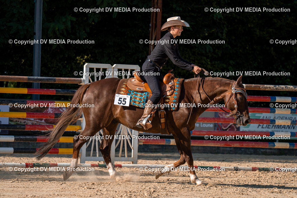 ZH100803 | dv-media-shop - Realisiert mit Pictrs.com