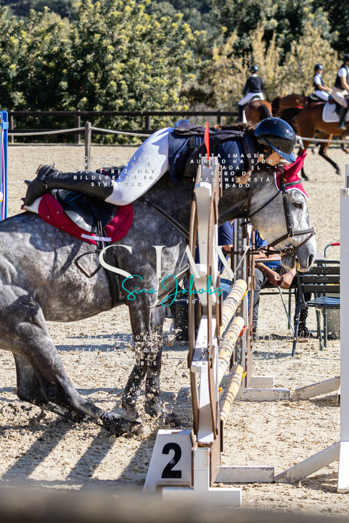 IMG_6482 | s-jay-photography - Realisiert mit Pictrs.com