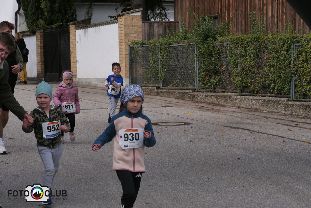 P1017399 | Foto Buchgraber