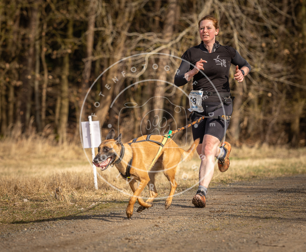 DV3A3857 | Hundefotografie, Tierfotograf, Pfotenfotografie, Fotoshooting Hund, Hunde Portrait, Hundesport, Hundeportraits, Heideshooting, Hunde, Sportfotograf, Hundefotograf, Turnierhundsport, THS,  - Realisiert mit Pictrs.com