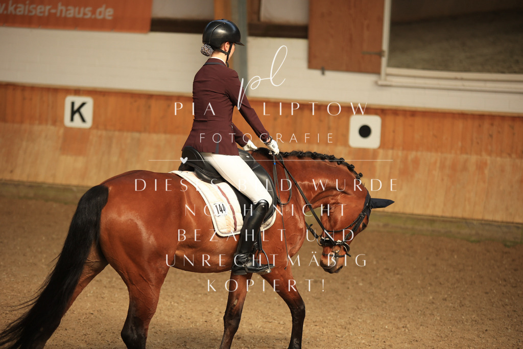 IMGT4632 | pl-fotografie