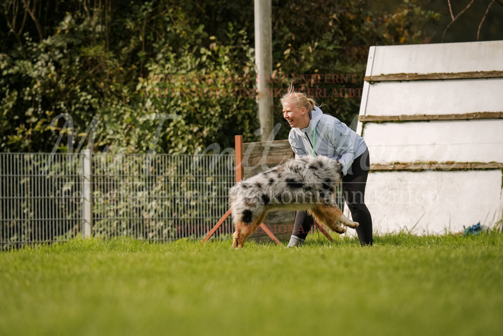 20251005_THS_Turnier-651 | MuT (Mensch und Tier) mit Mona - Fotografie und Tierkommunikation - Realisiert mit Pictrs.com